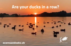 Ducks in a row, employment law, fair work agency