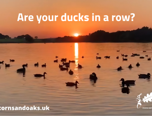 Fair Work Agency – Are your ducks in a row?