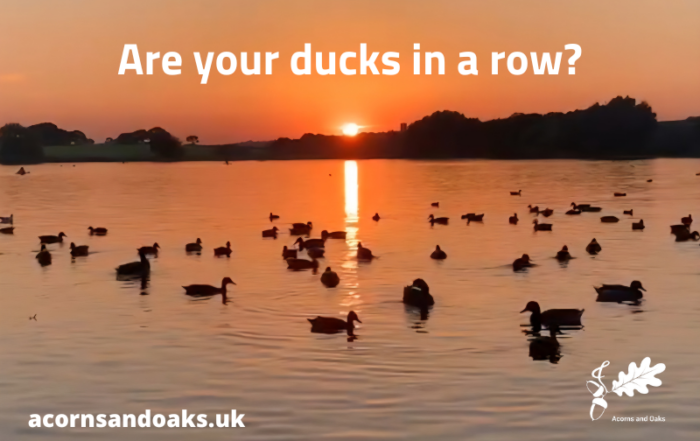 Ducks in a row, employment law, fair work agency